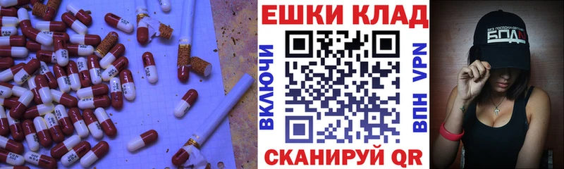 мега маркетплейс  Суджа  Экстази Philipp Plein 