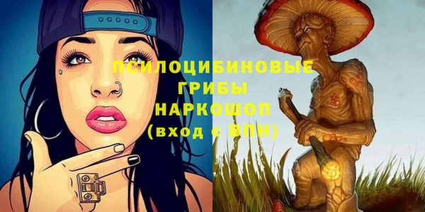 винт Алзамай