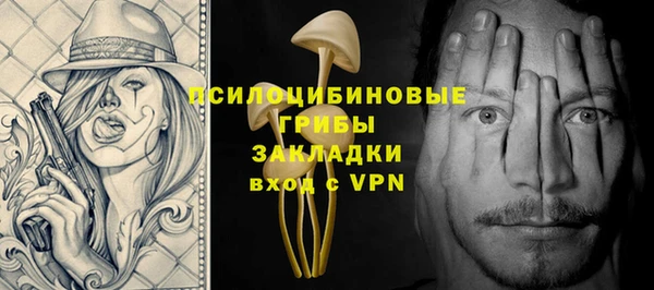 метадон Алексин