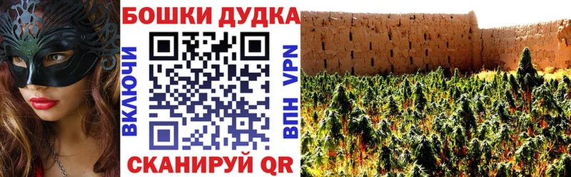 Канабис сатива  Суджа 